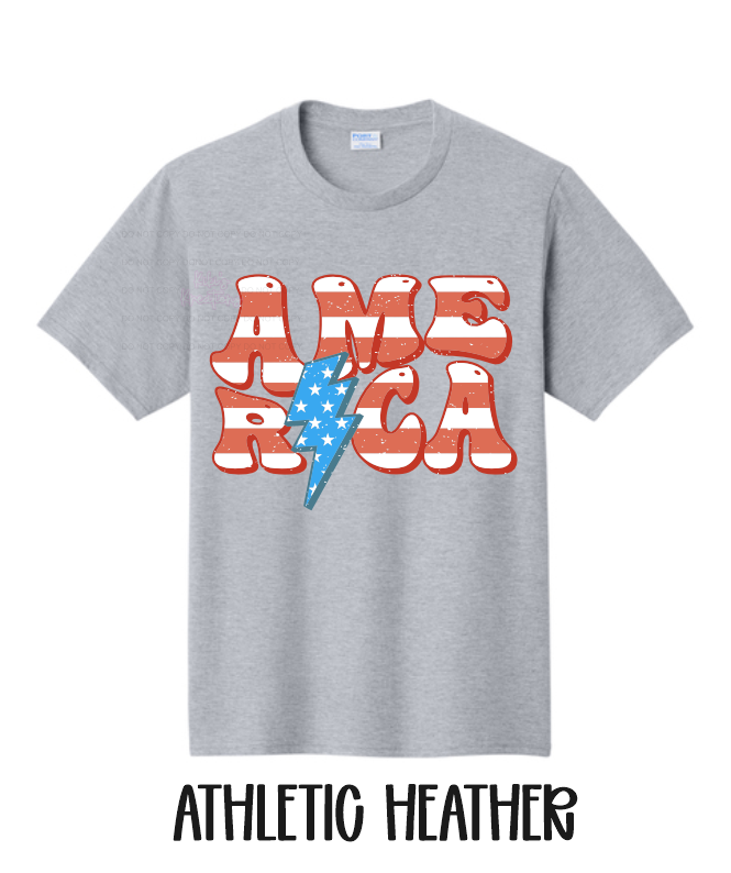 STRIPED AMERICA