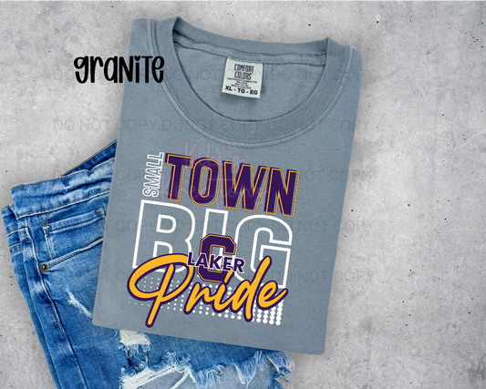 SMALL TOWN BIG PRIDE LAKERS